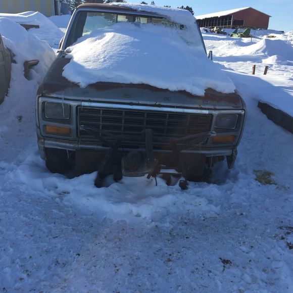 Meet your Posher, Isaac - Picture 1 of 1